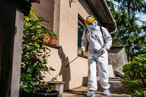 Bird Control in Miami Heights, OH
