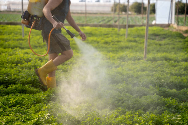 Best Affordable Pest Control Services  in Miami Heights, OH