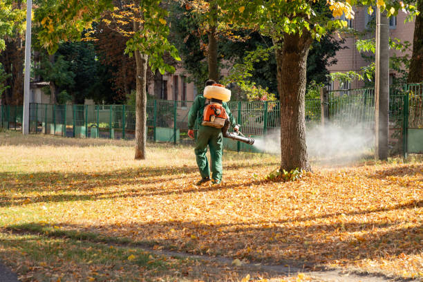 Best Termite Control Services  in Miami Heights, OH