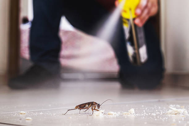 Best Insect Control  in Miami Heights, OH