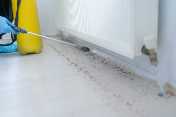 Best Pest Inspection Near Me  in Miami Heights, OH