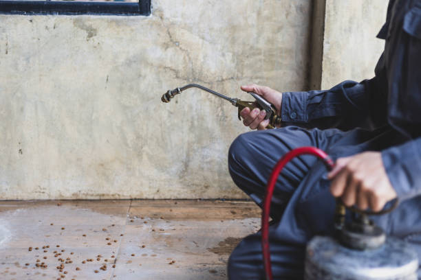 Best Affordable Pest Control Services  in Miami Heights, OH